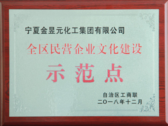 全区民营企业文化建设示范点