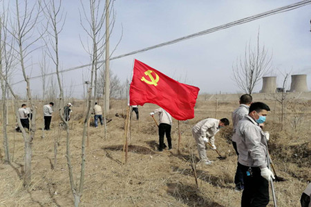 2020年绿化环境 美化家园