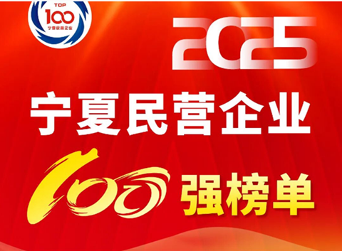 2025宁夏民营企业百强发布